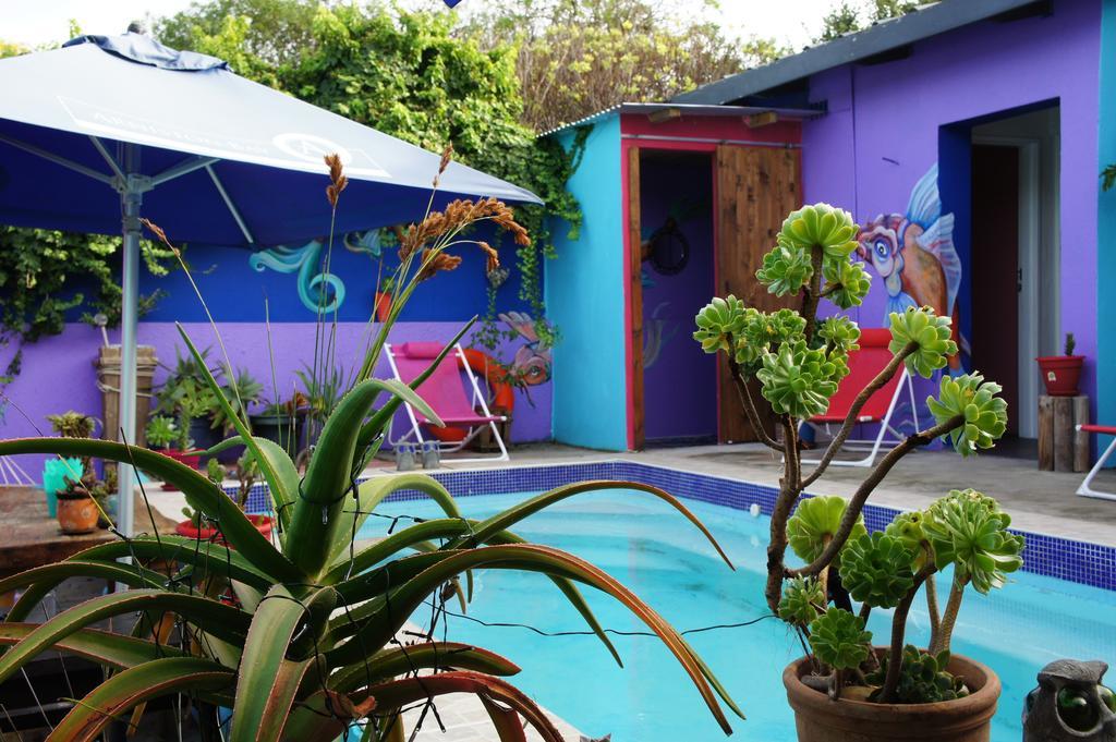 Cape Agulhas Backpackers Hostel Struisbaai Bilik gambar