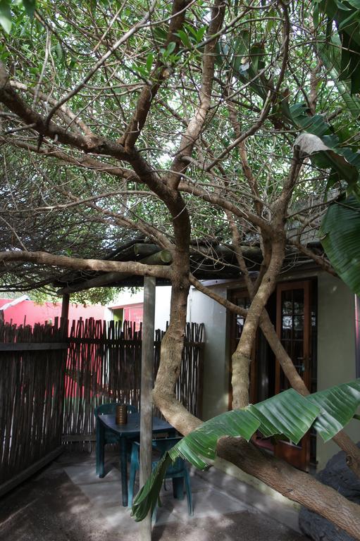 Cape Agulhas Backpackers Hostel Struisbaai Luaran gambar