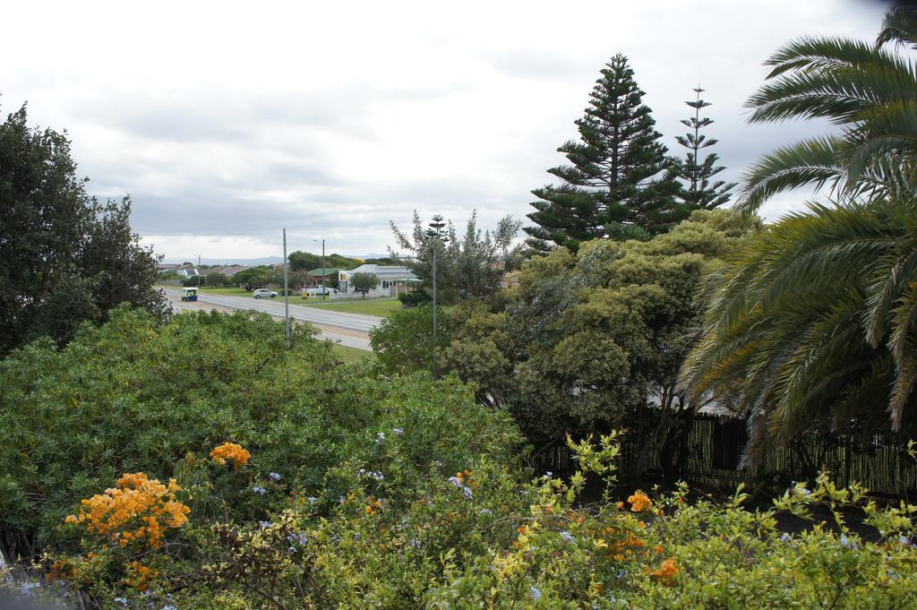 Cape Agulhas Backpackers Hostel Struisbaai Bilik gambar